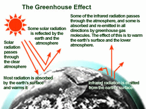 Greenhouse Effect