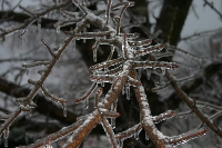 Ice Storm